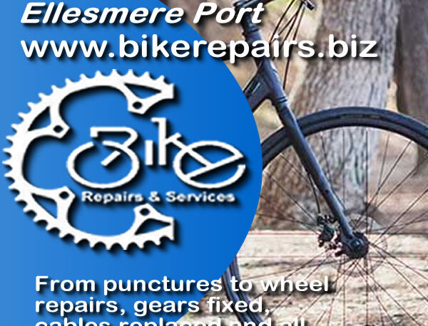 Adult Hybrid Bike Fixed in Ellesmere Port