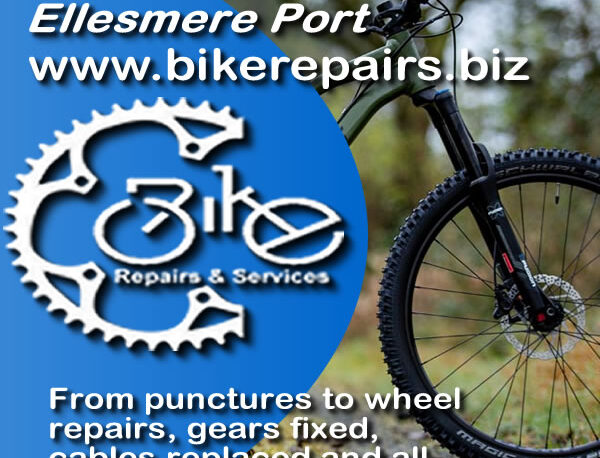 Adult Mountain Bike Fixed in Ellesmere Port